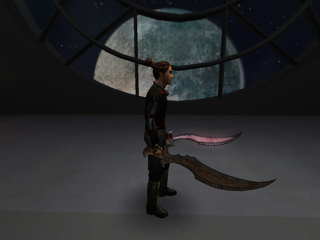 An in-game screenshot of two of the swords.