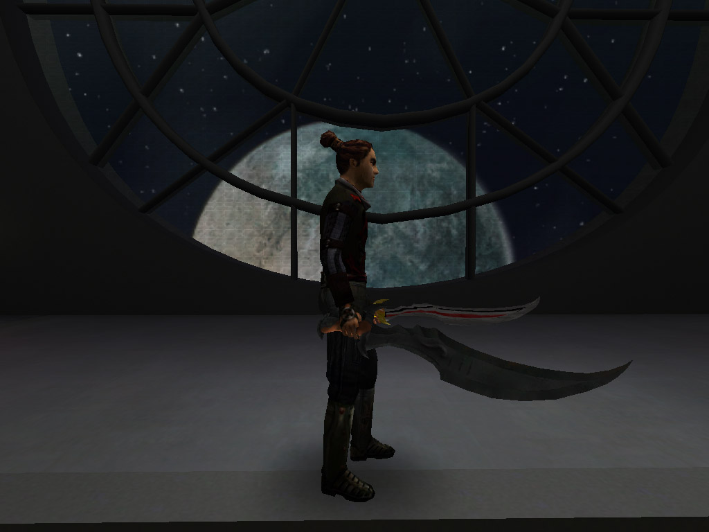 An in-game screenshot of two of the swords.