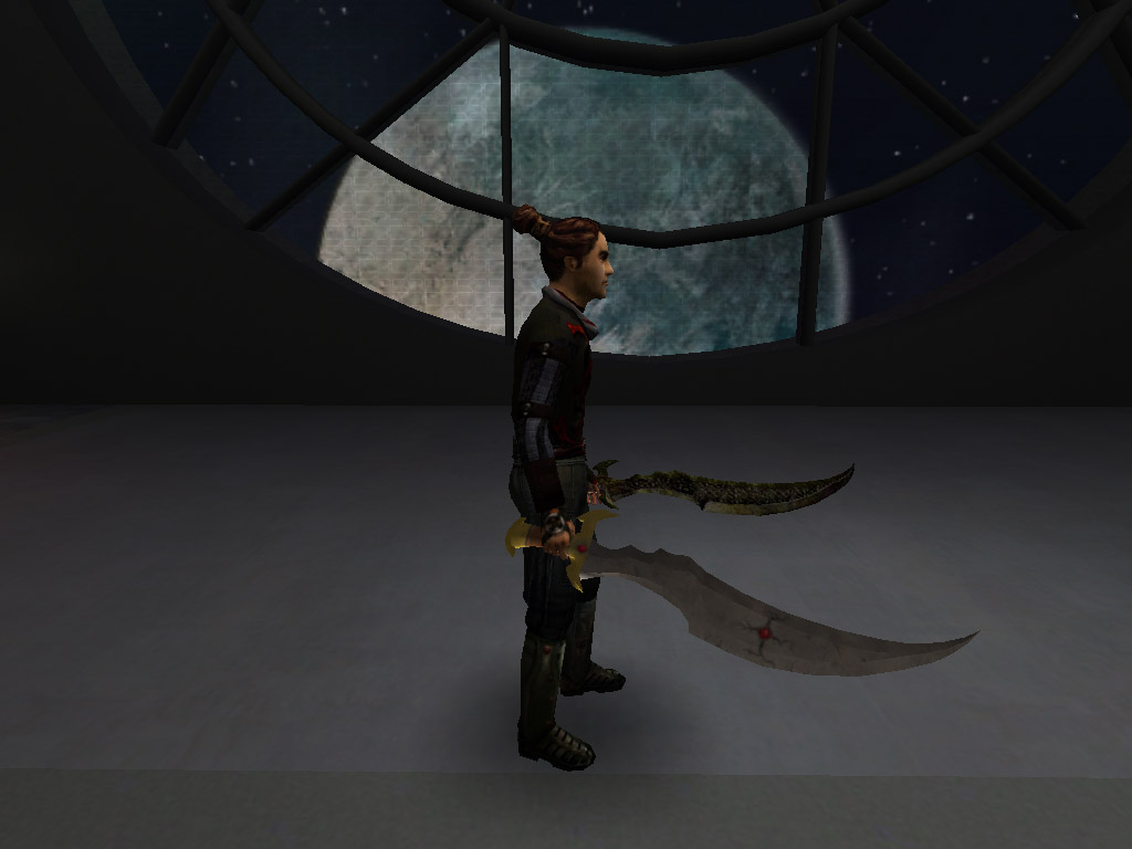 An in-game screenshot of two of the swords.