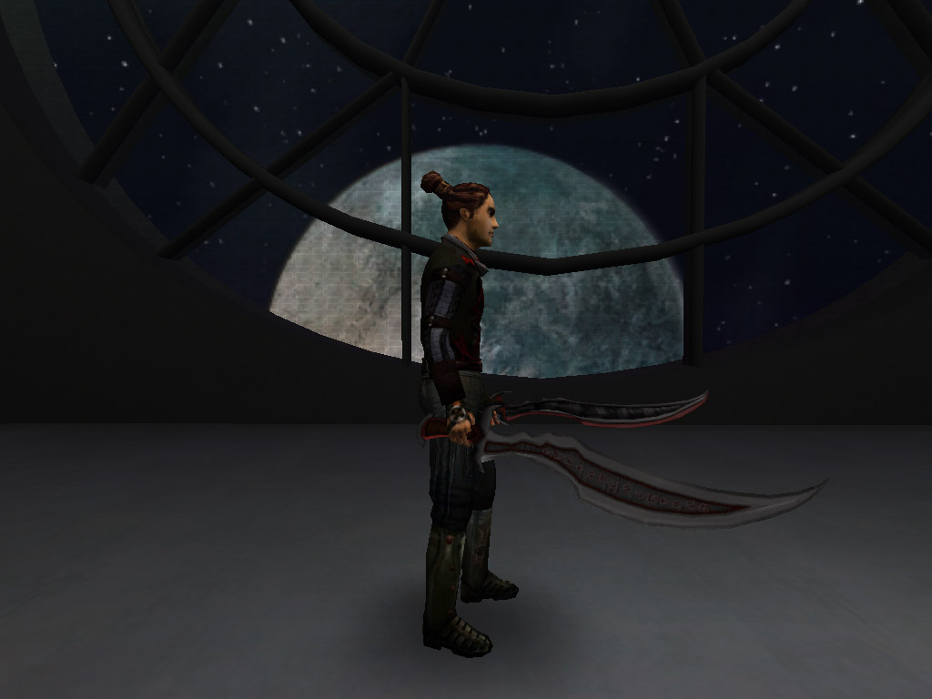 An in-game screenshot of two of the swords.