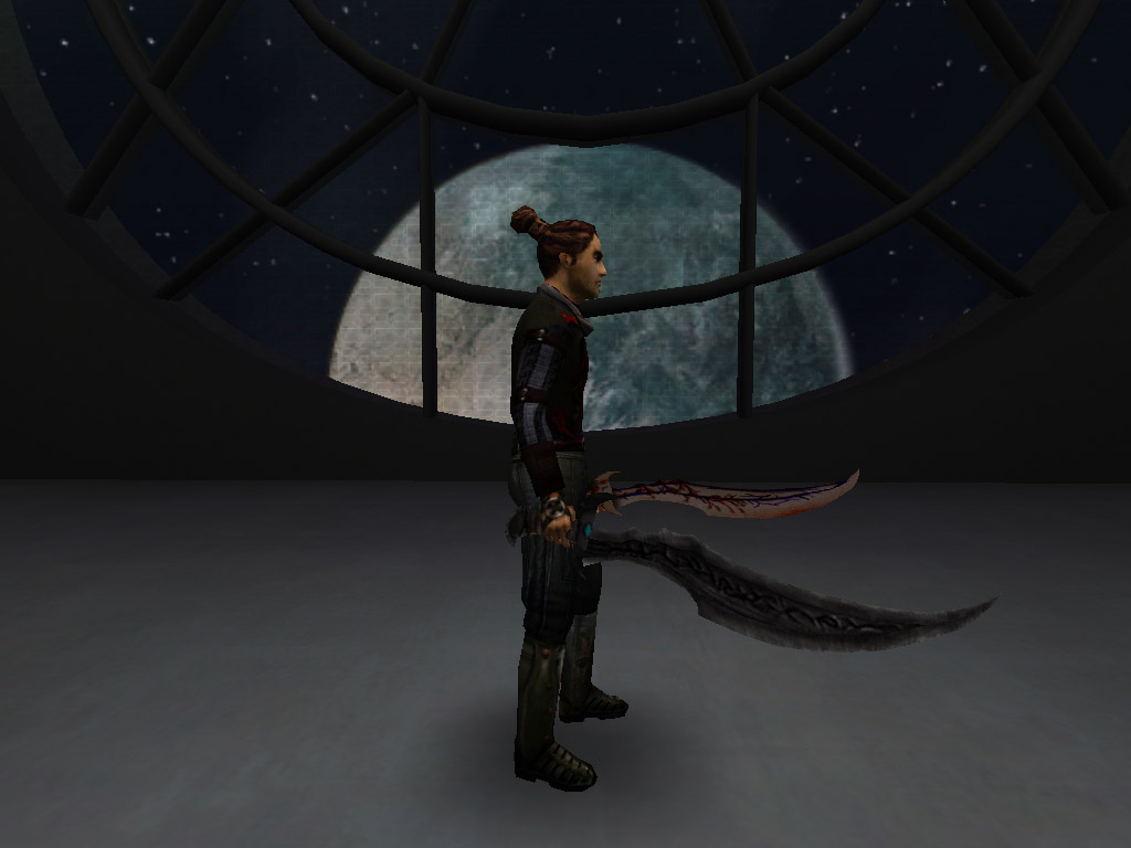 An in-game screenshot of two of the swords.