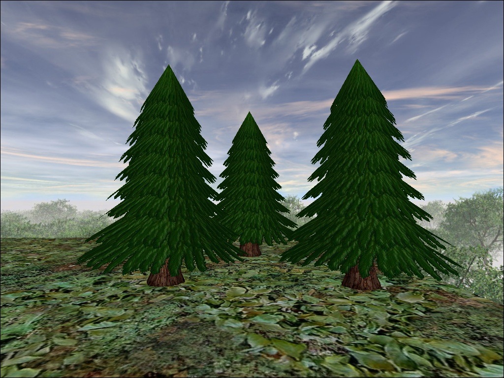 An in-game screenshot of several pine trees.